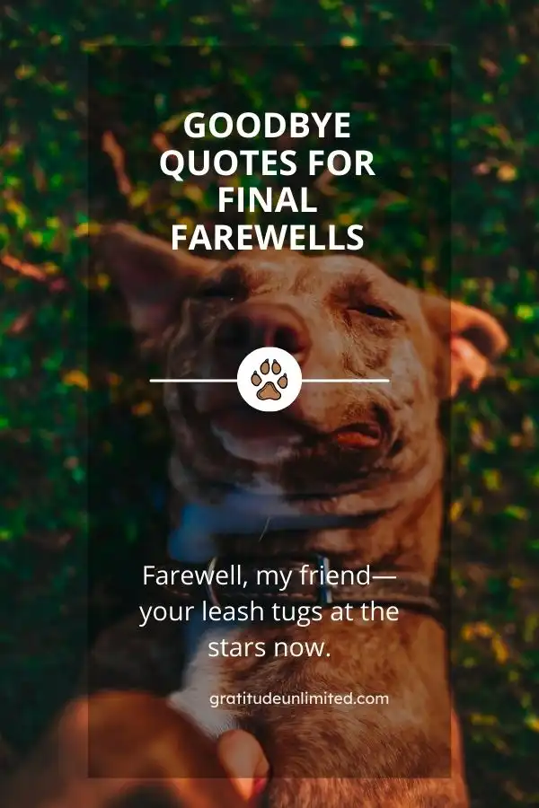 Goodbye Quotes for Final Farewells